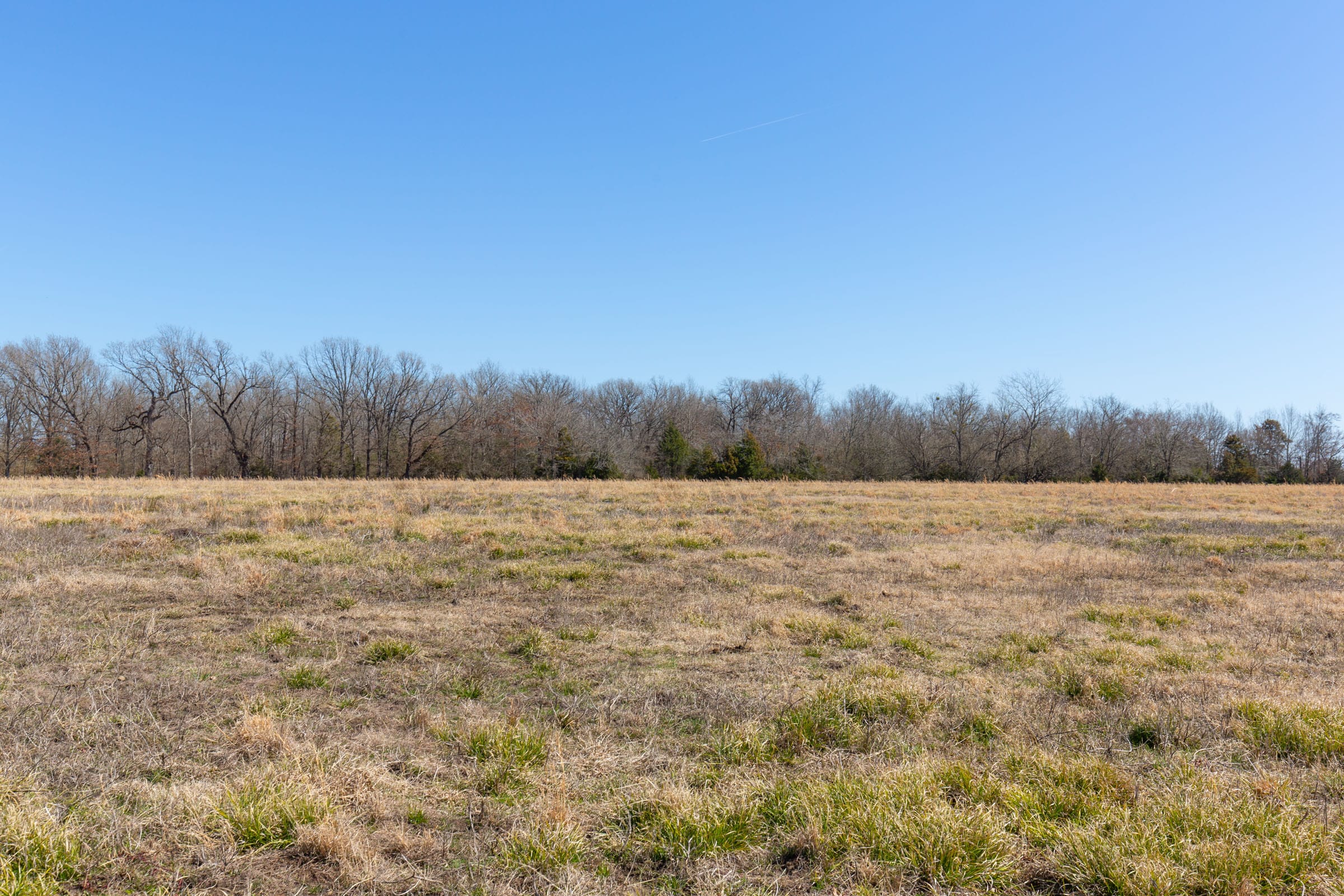 Wishing Star Ranch Tract 18 photo 5