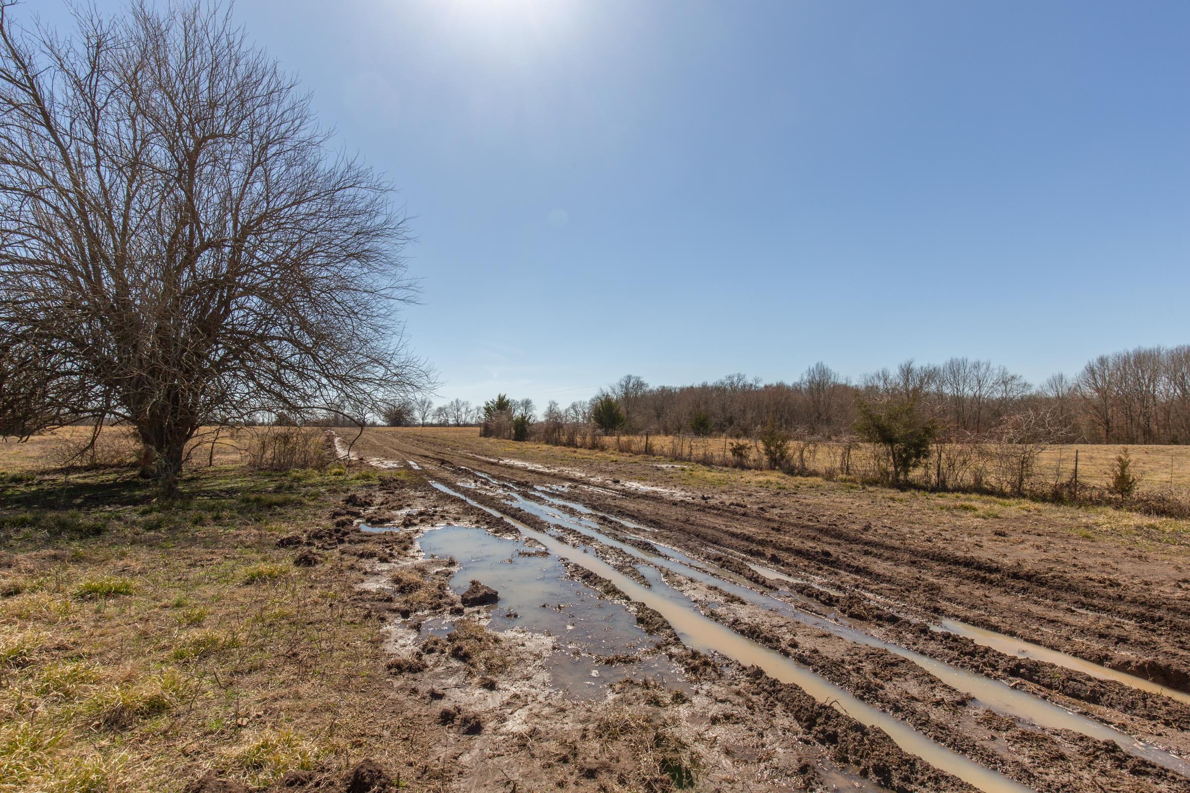 Wishing Star Ranch Tract 18 photo 6