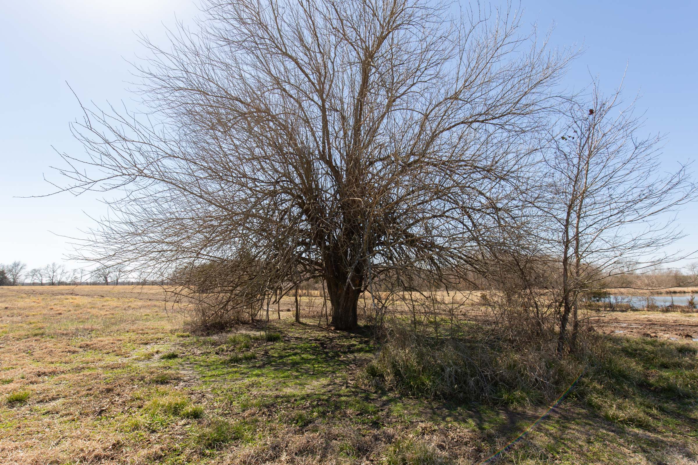 Wishing Star Ranch Tract 18 photo 7