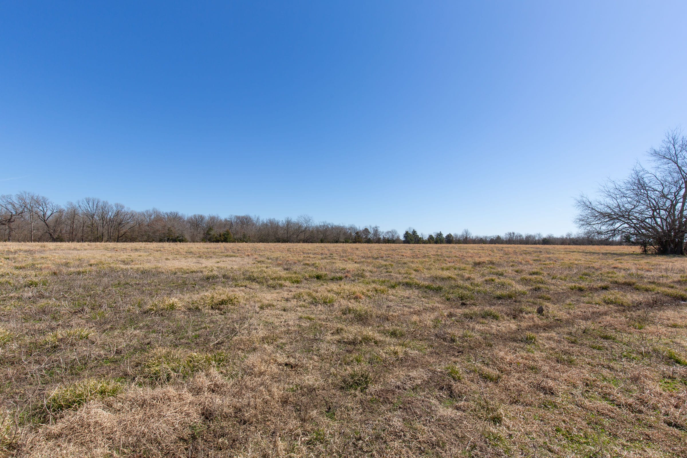Wishing Star Ranch Tract 18 photo 8