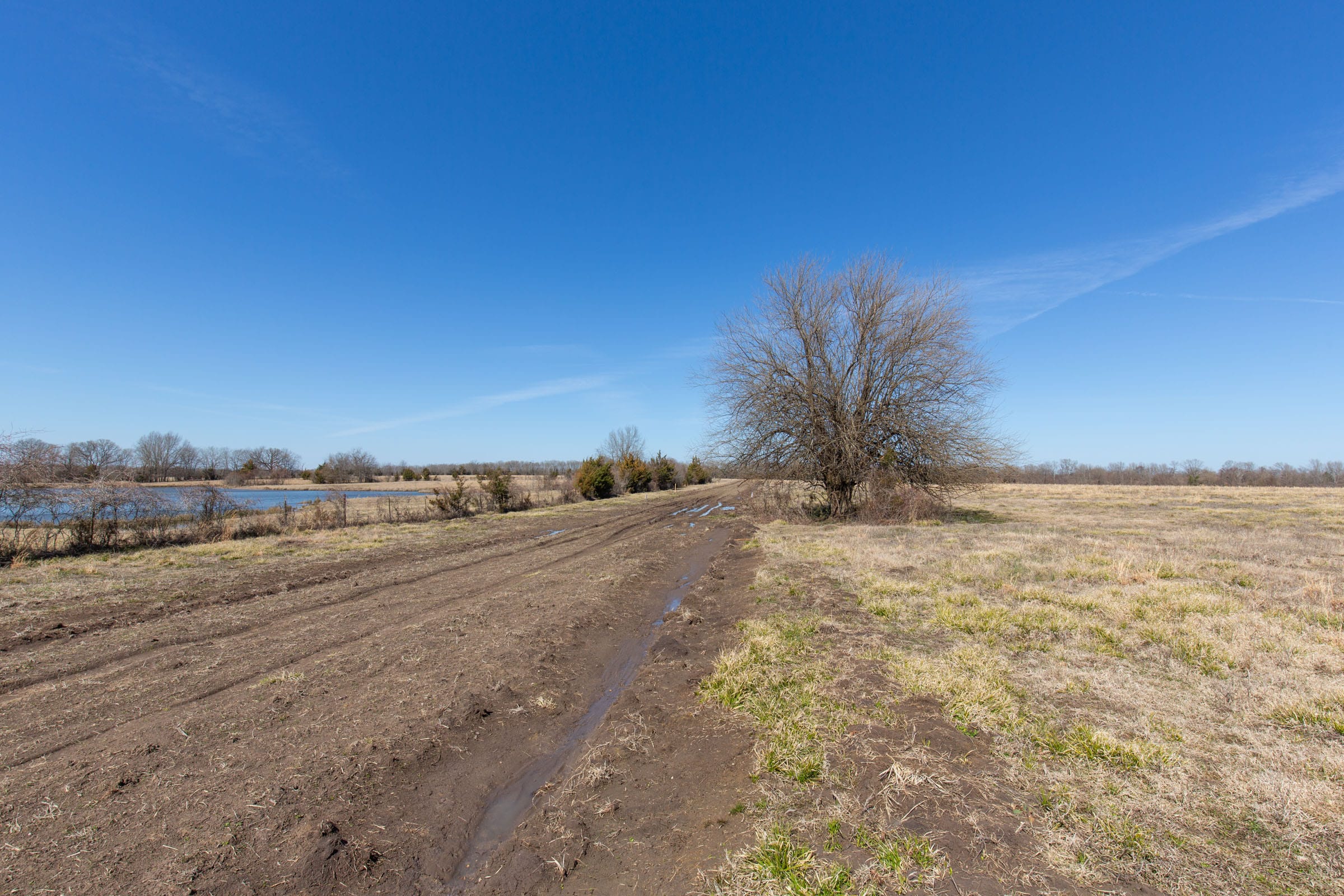 Wishing Star Ranch Tract 18 photo 1