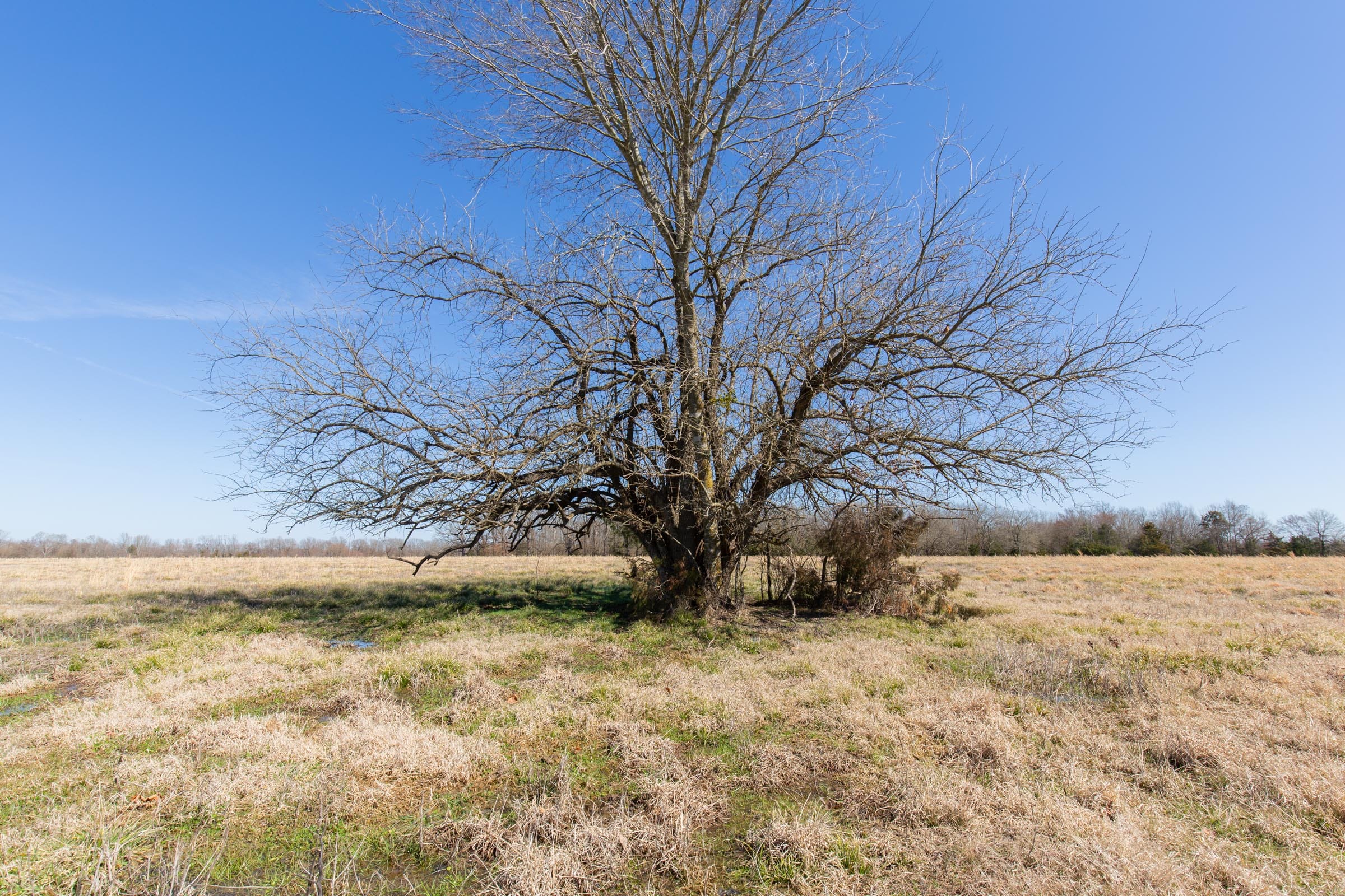 Wishing Star Ranch Tract 18 photo 10