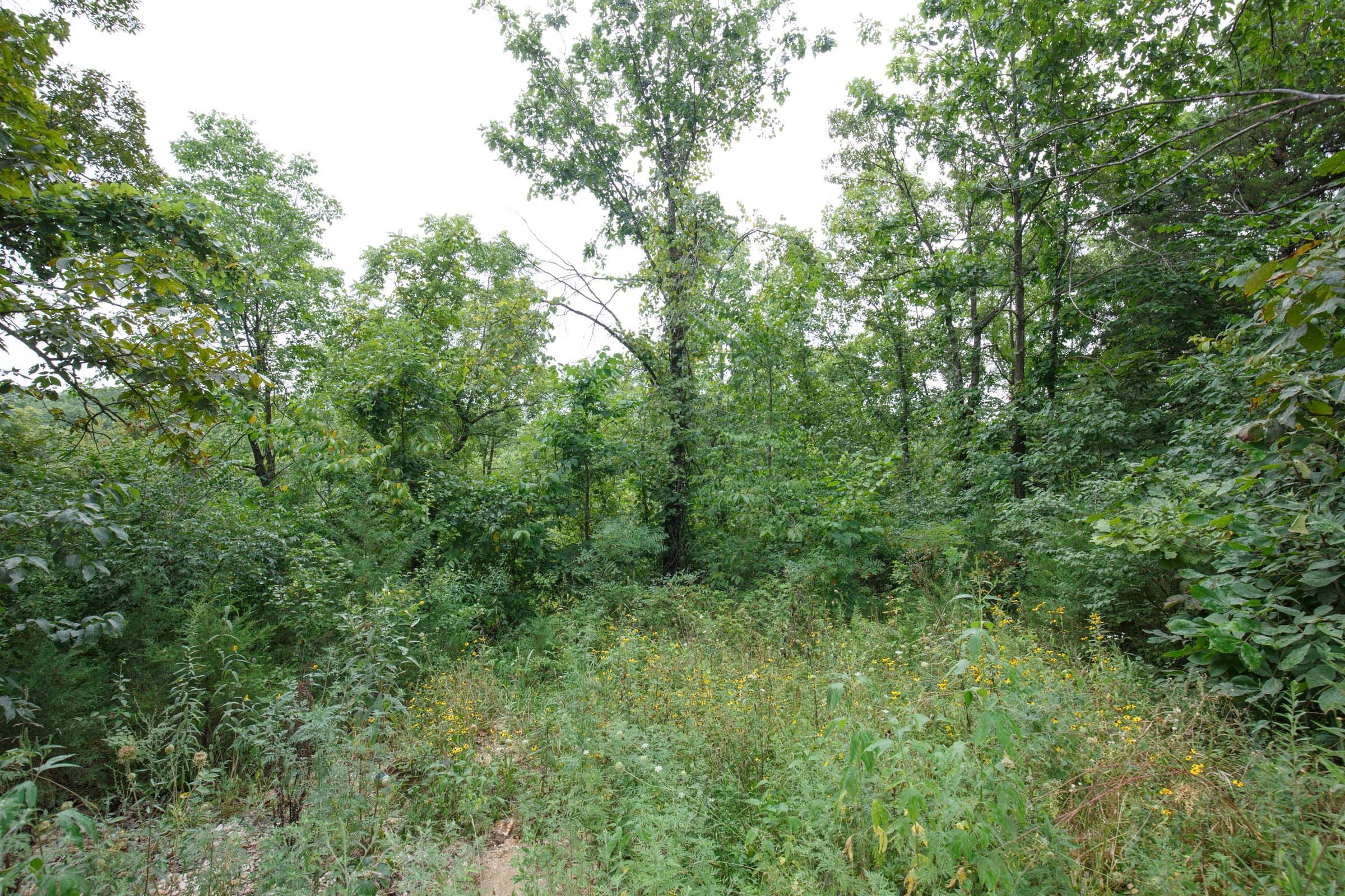 Spring Lake Plat 5 Tract 170 photo 4
