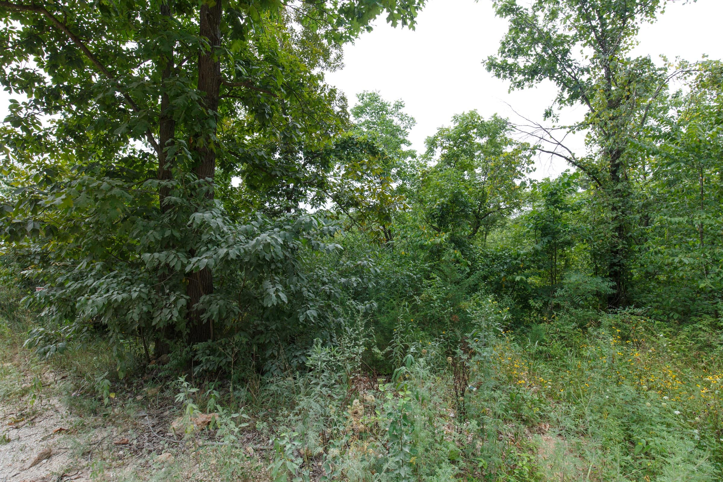 Spring Lake Plat 5 Tract 170 photo 1