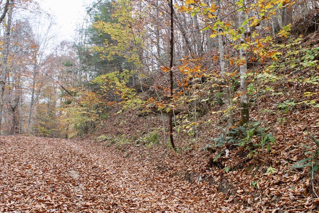 Autumn Ridge Tract 3 photo 1