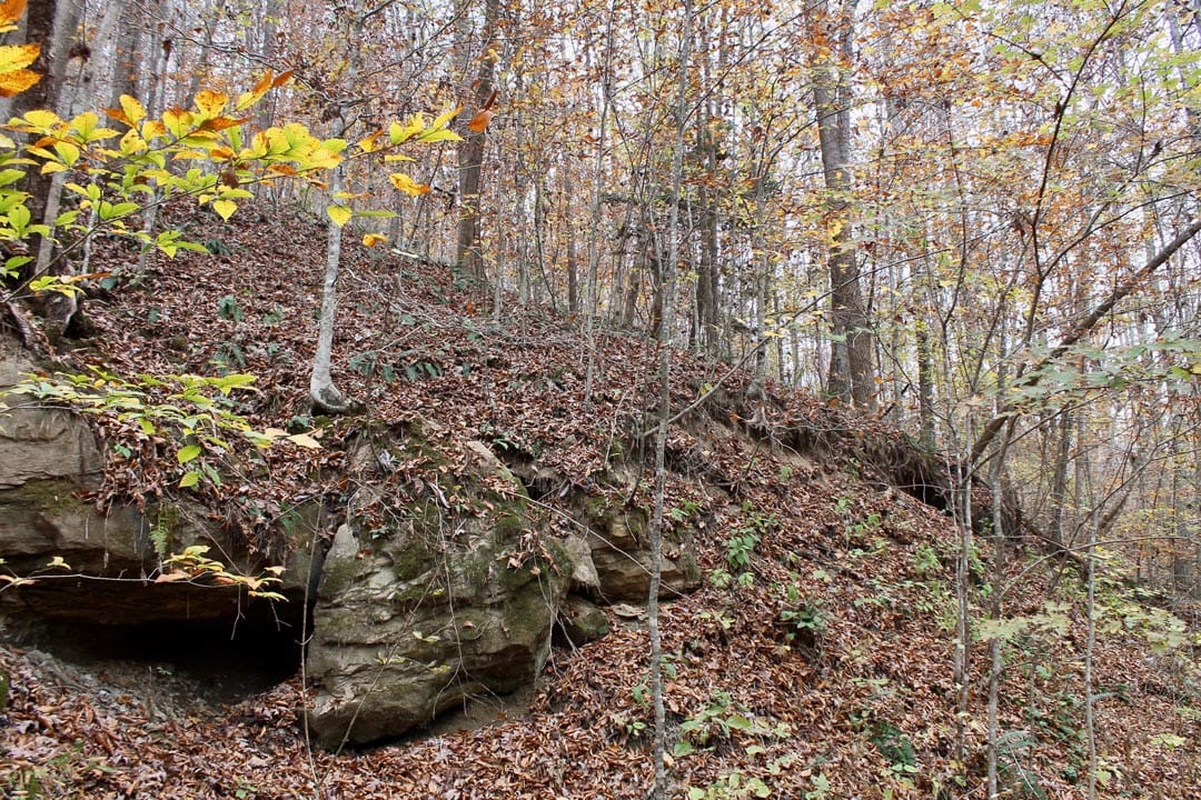 Autumn Ridge Tract 3 photo 3
