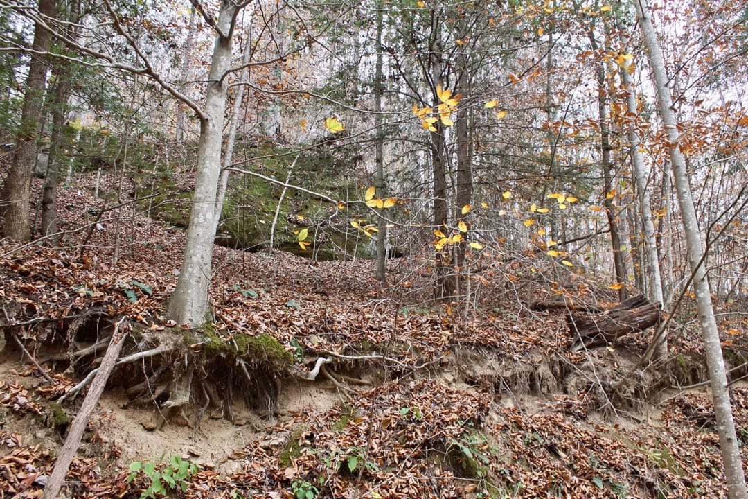 Autumn Ridge Tract 3 photo 4