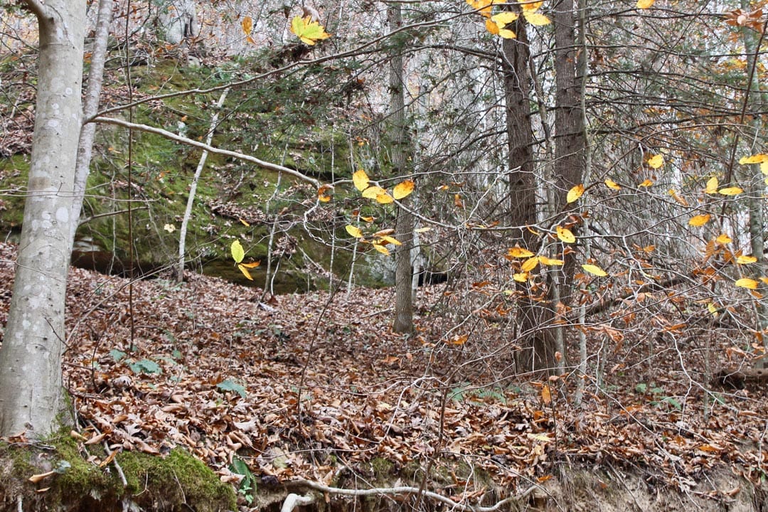Autumn Ridge Tract 3 photo 5
