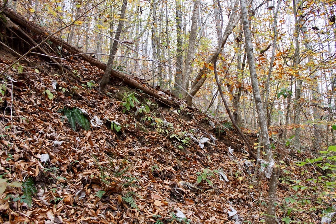 Autumn Ridge Tract 3 photo 7