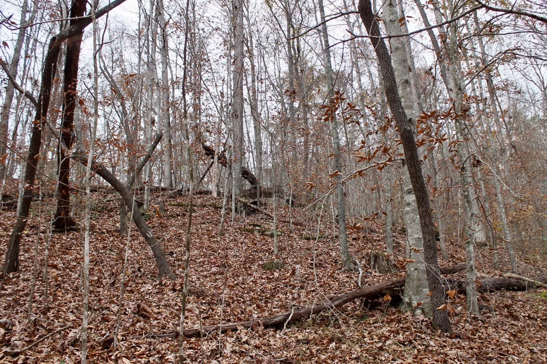 Autumn Ridge Tract 3 photo 15