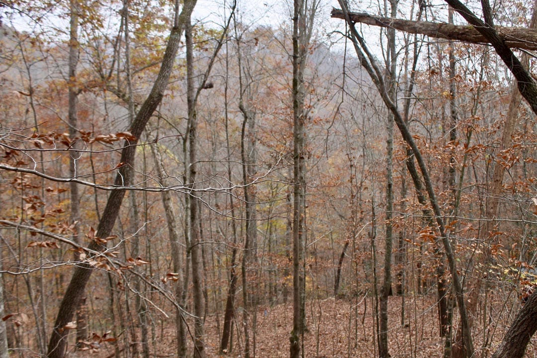 Autumn Ridge Tract 3 photo 17