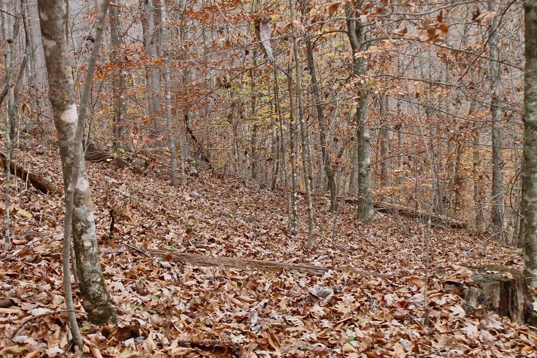 Autumn Ridge Tract 3 photo 19