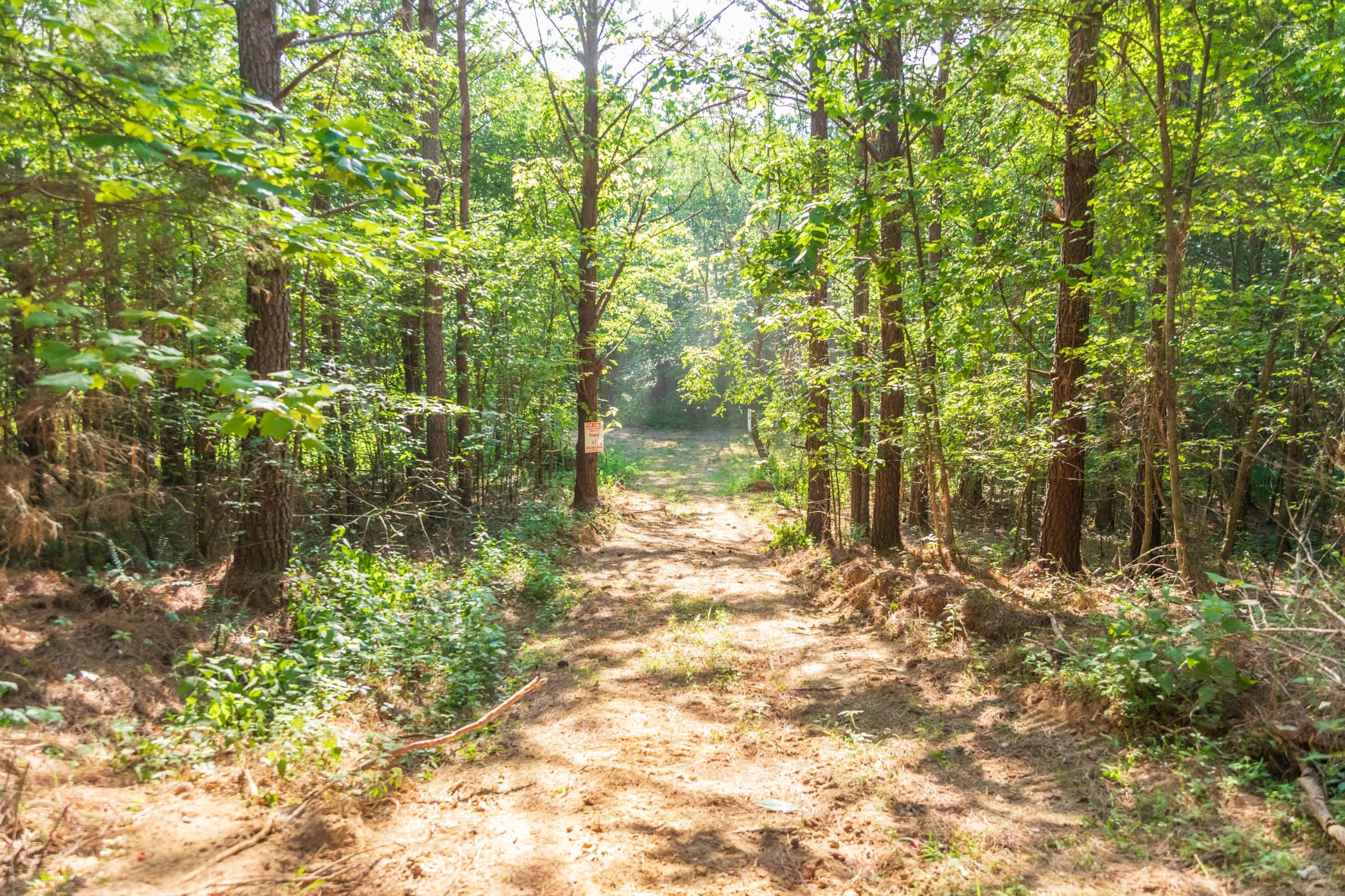 Whiskey Ridge Tract 57 photo 11