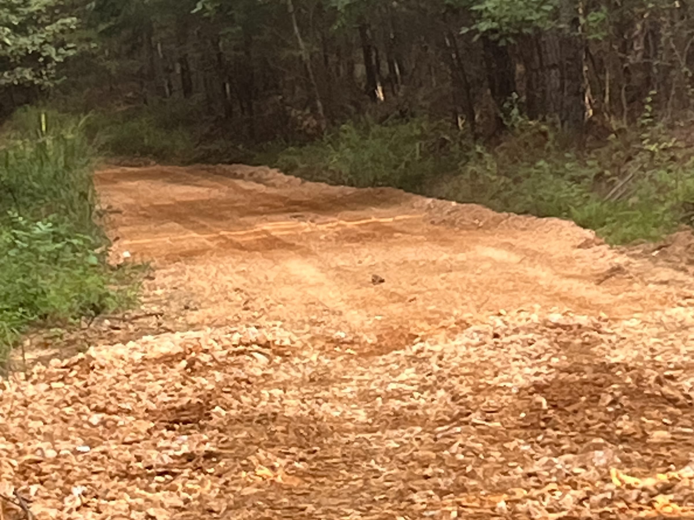 Whiskey Ridge Tract 57 photo 8