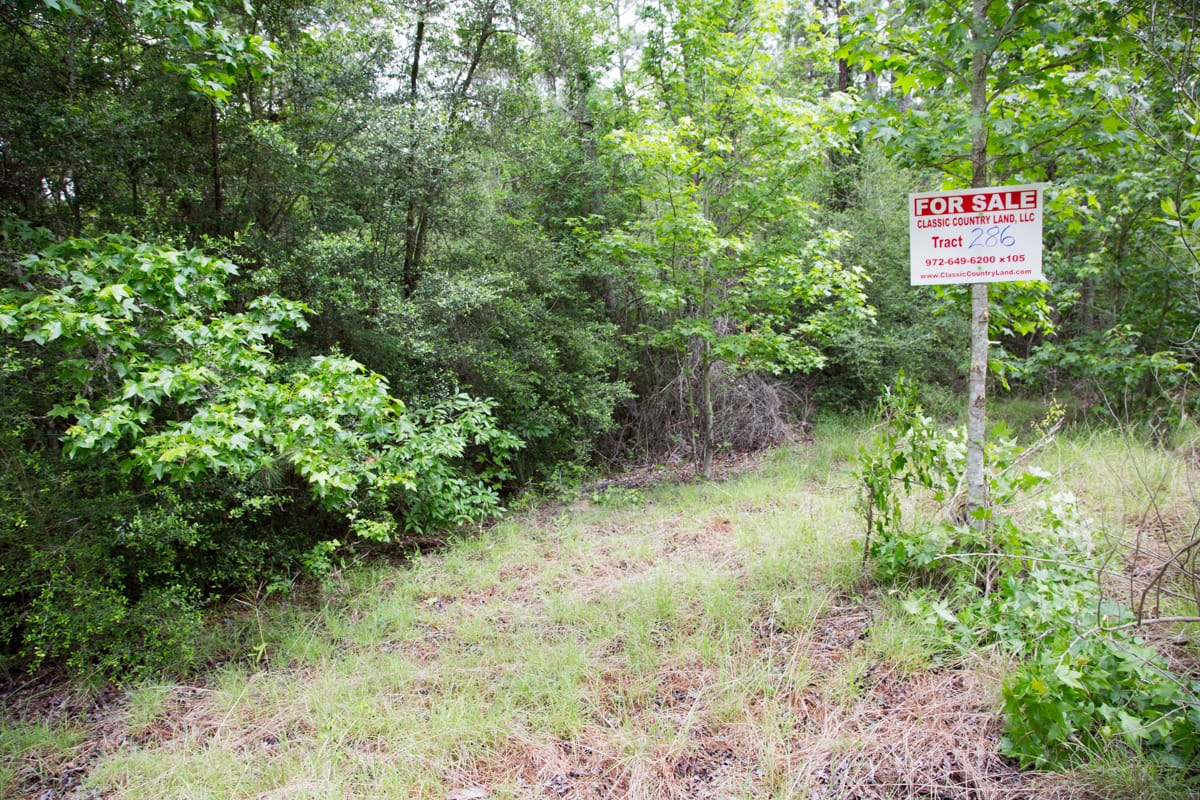 Rayburn Country Tract 286 photo 1