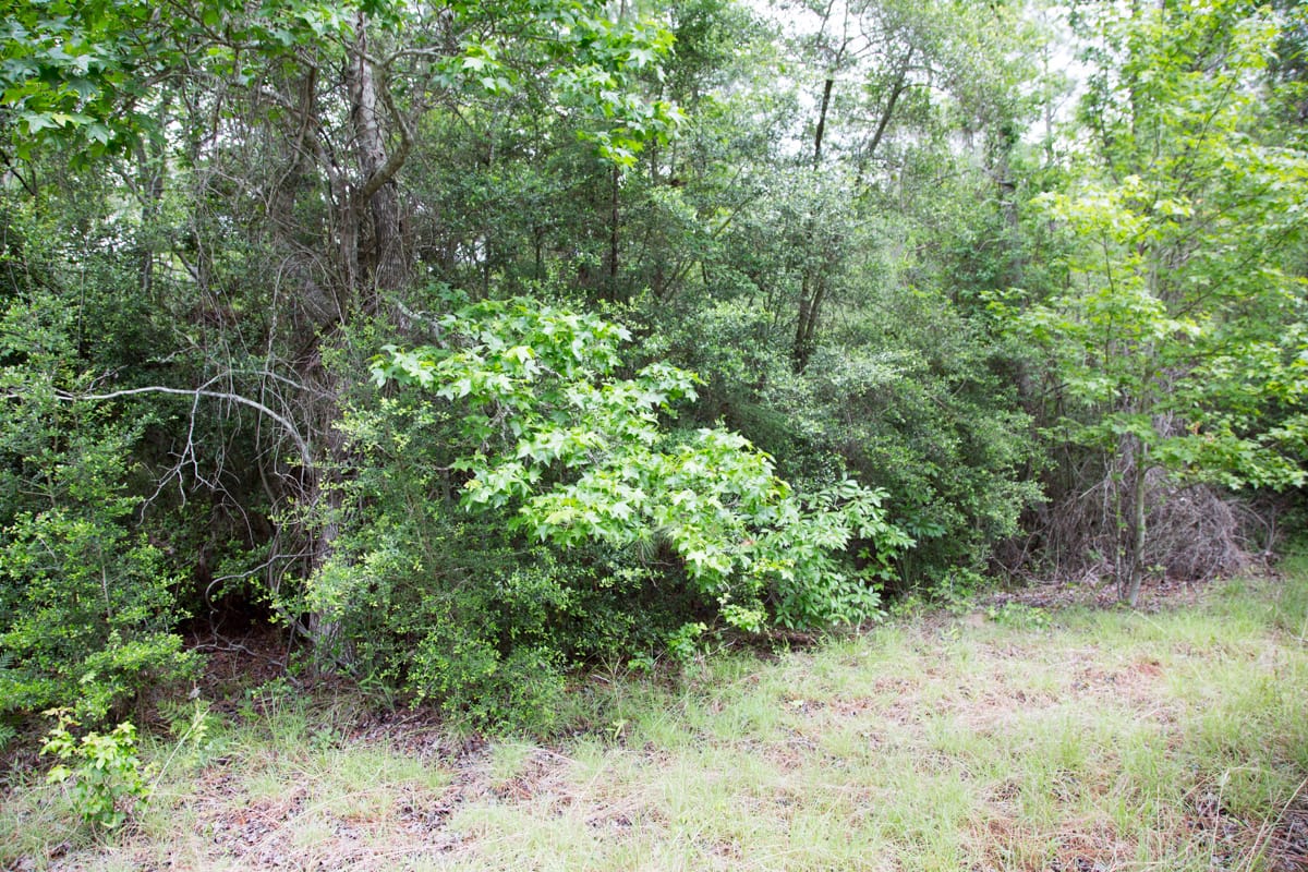 Rayburn Country Tract 286 photo 2