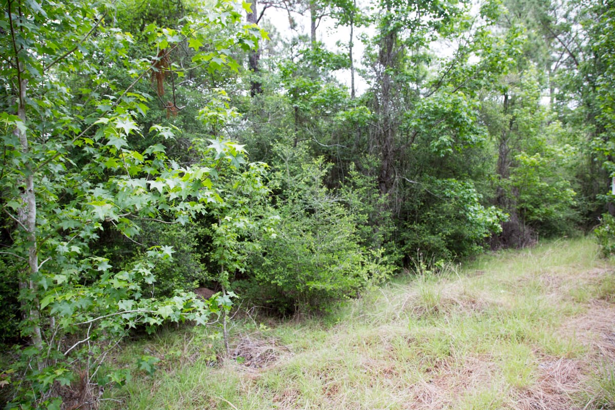 Rayburn Country Tract 286 photo 11