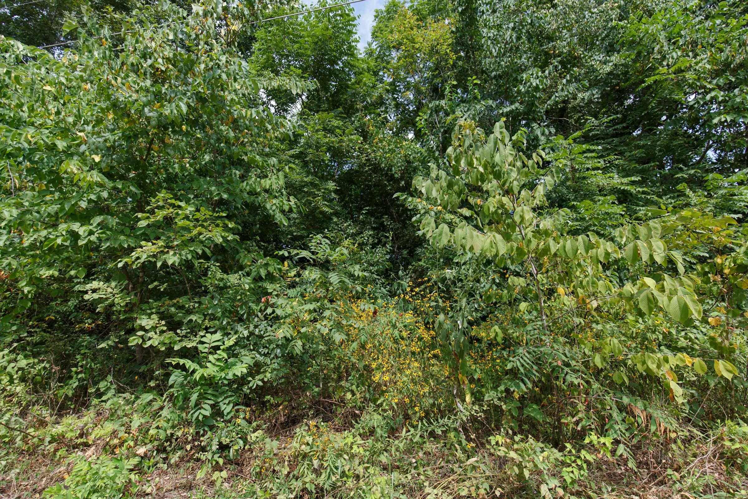 Spring Lake Plat 5 Tract 228 photo 7