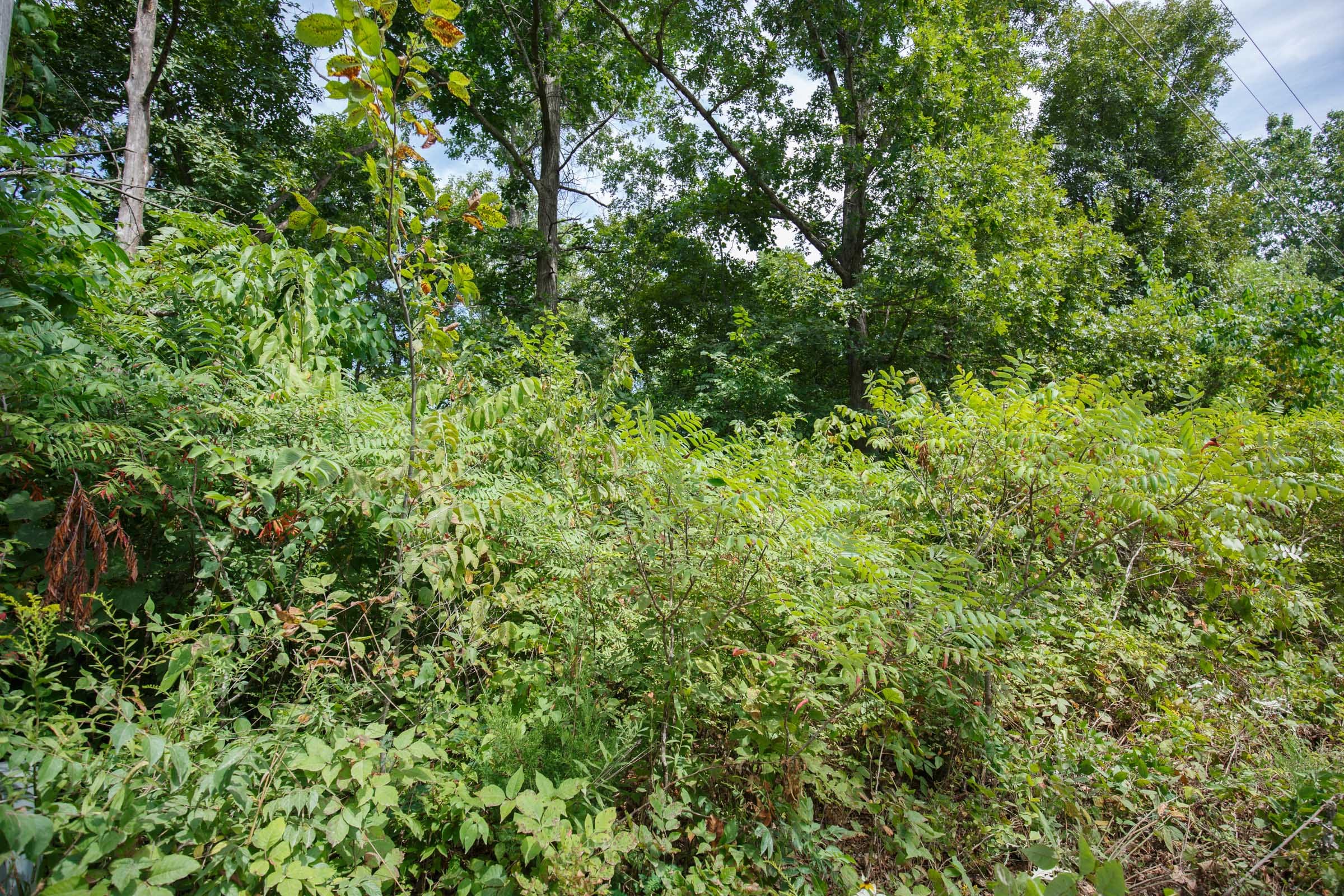Spring Lake Plat 5 Tract 228 photo 3