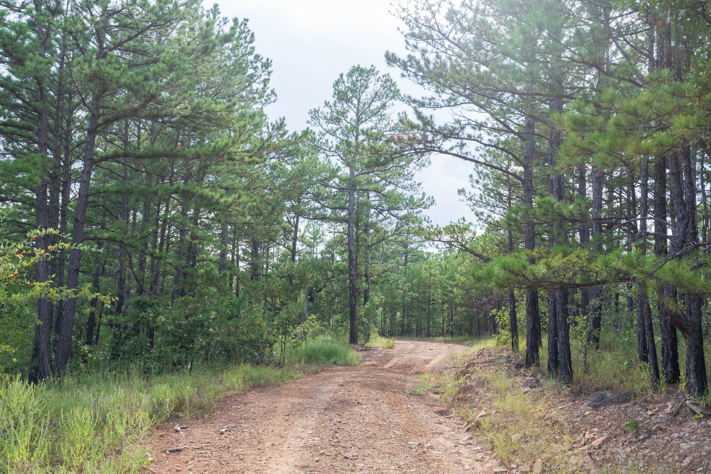 Stone Bridge Phase V Tract 359 photo 12
