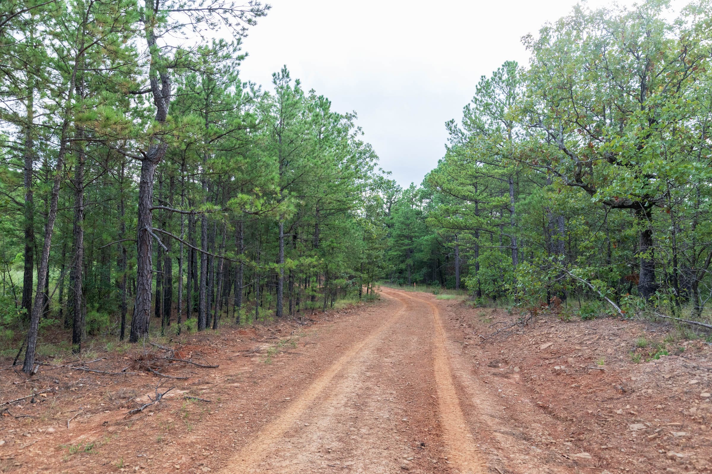 Stone Bridge Phase V Tract 359 photo 1