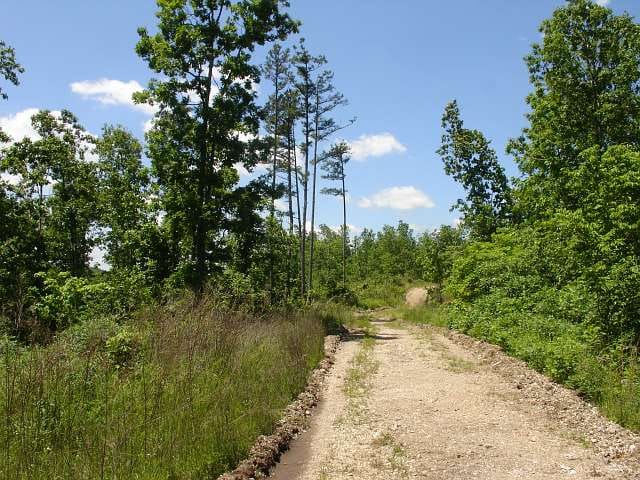 Antler Ridge Tract 26 photo 1