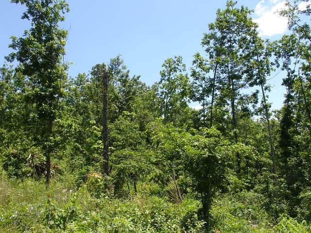 Antler Ridge Tract 26 photo 4