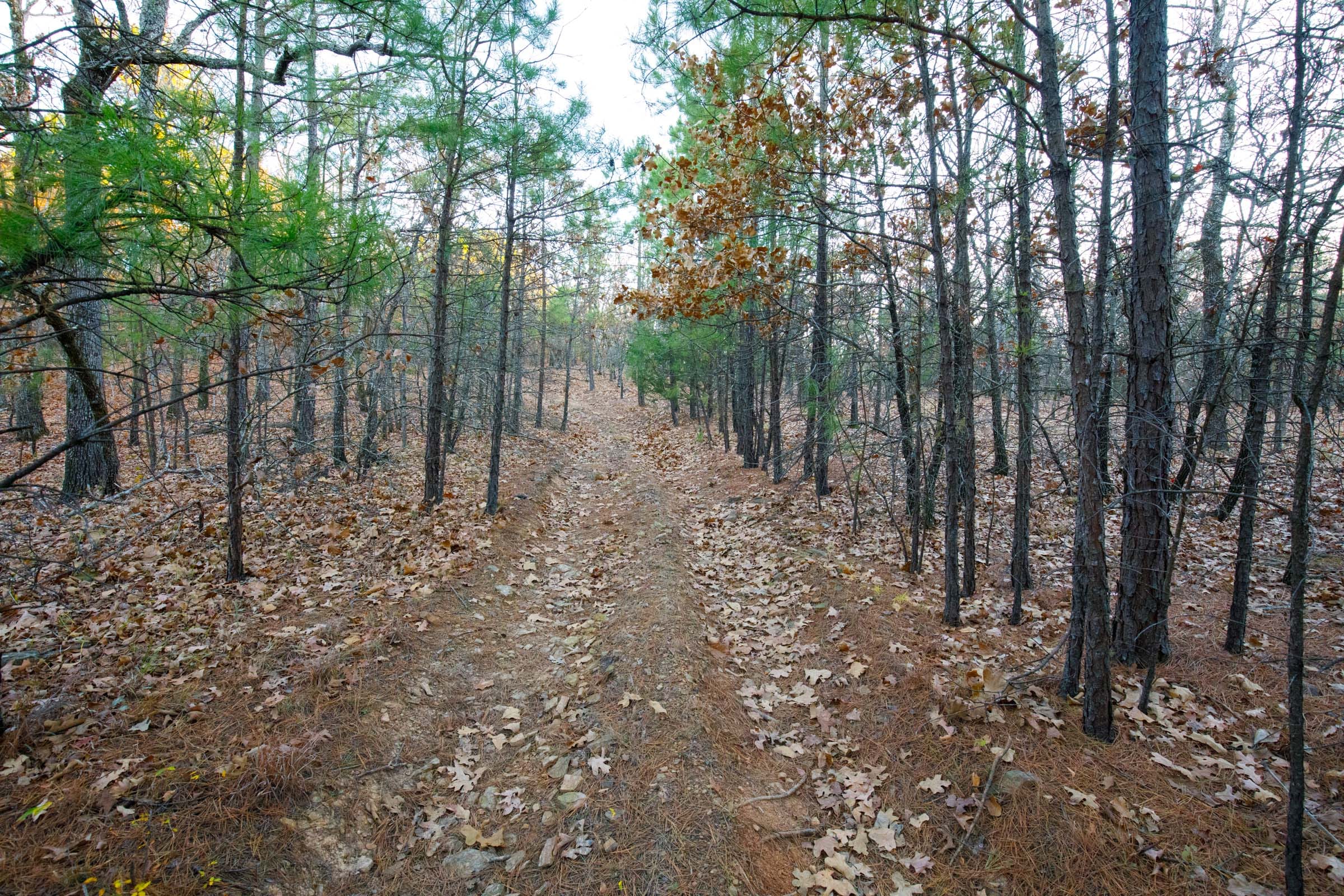 Stone Bridge Phase II Tract 114 photo 1