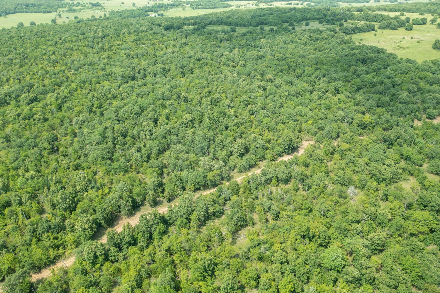 Timber Ridge Tract 2 photo 4