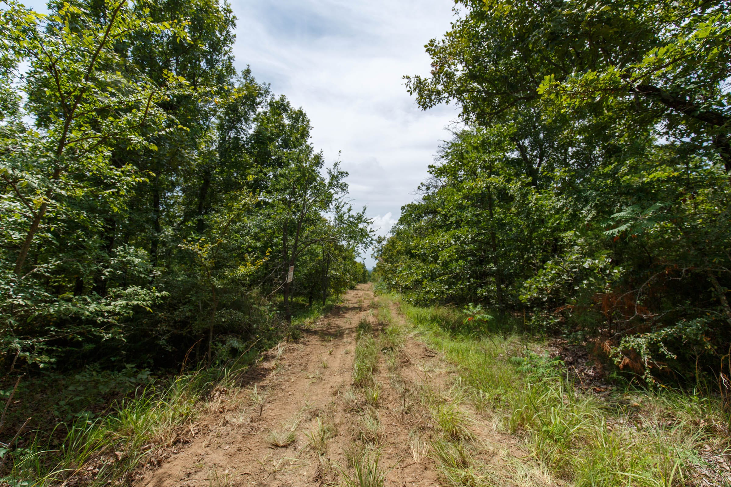Timber Ridge Tract 2 photo 1