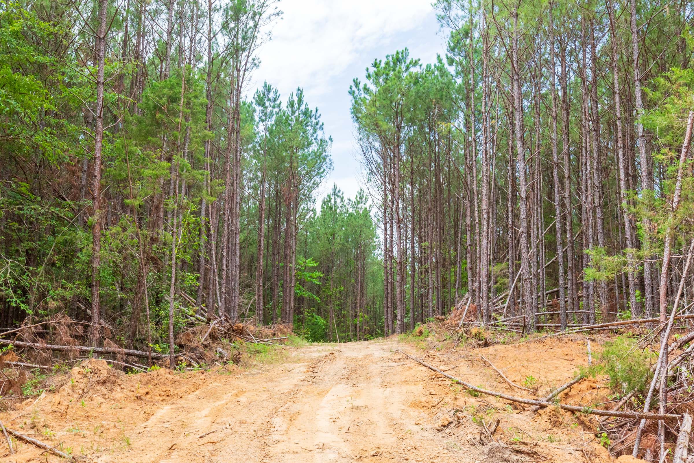 Whiskey Ridge Tract 101 photo 1
