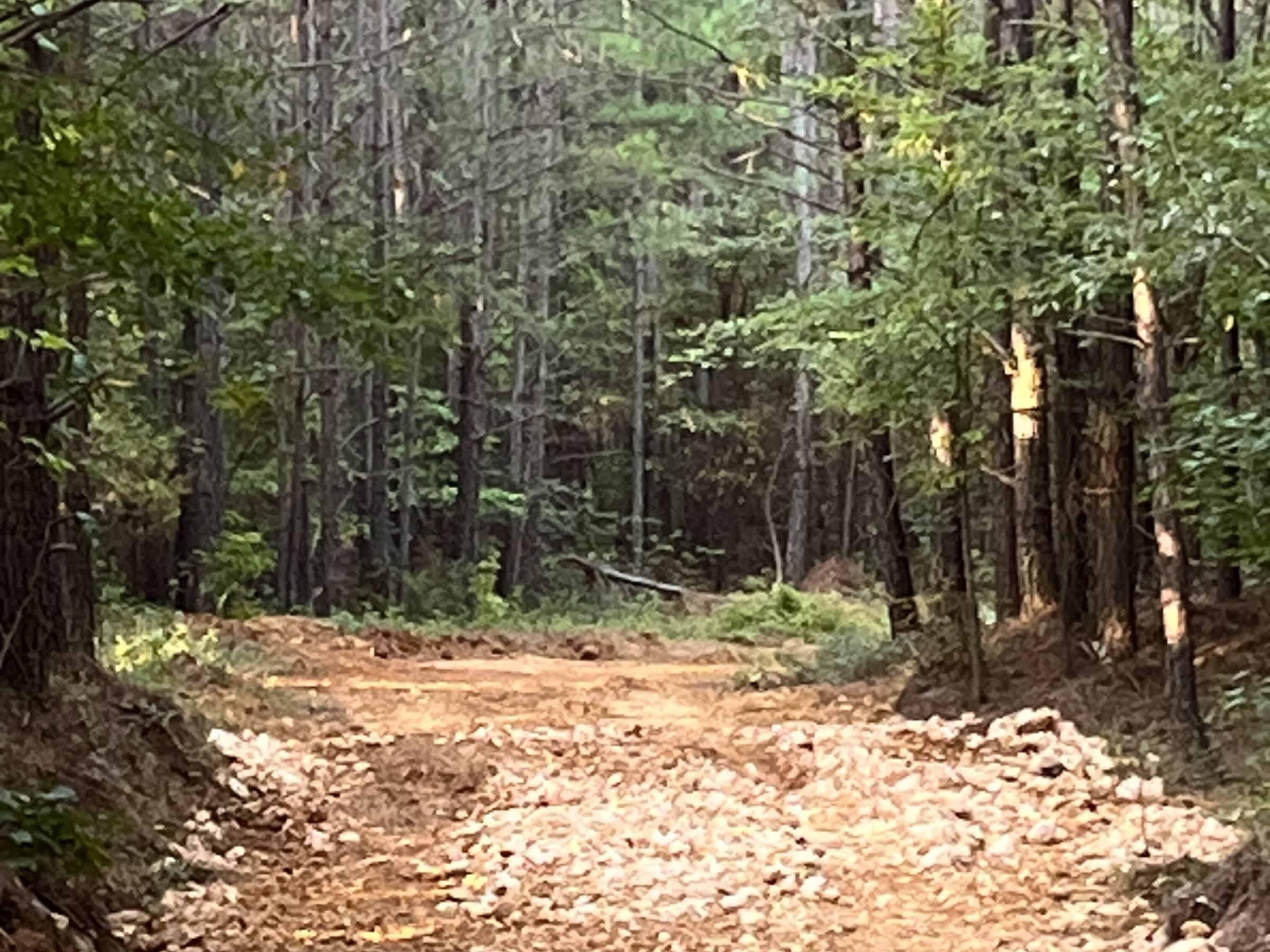 Whiskey Ridge Tract 101 photo 3