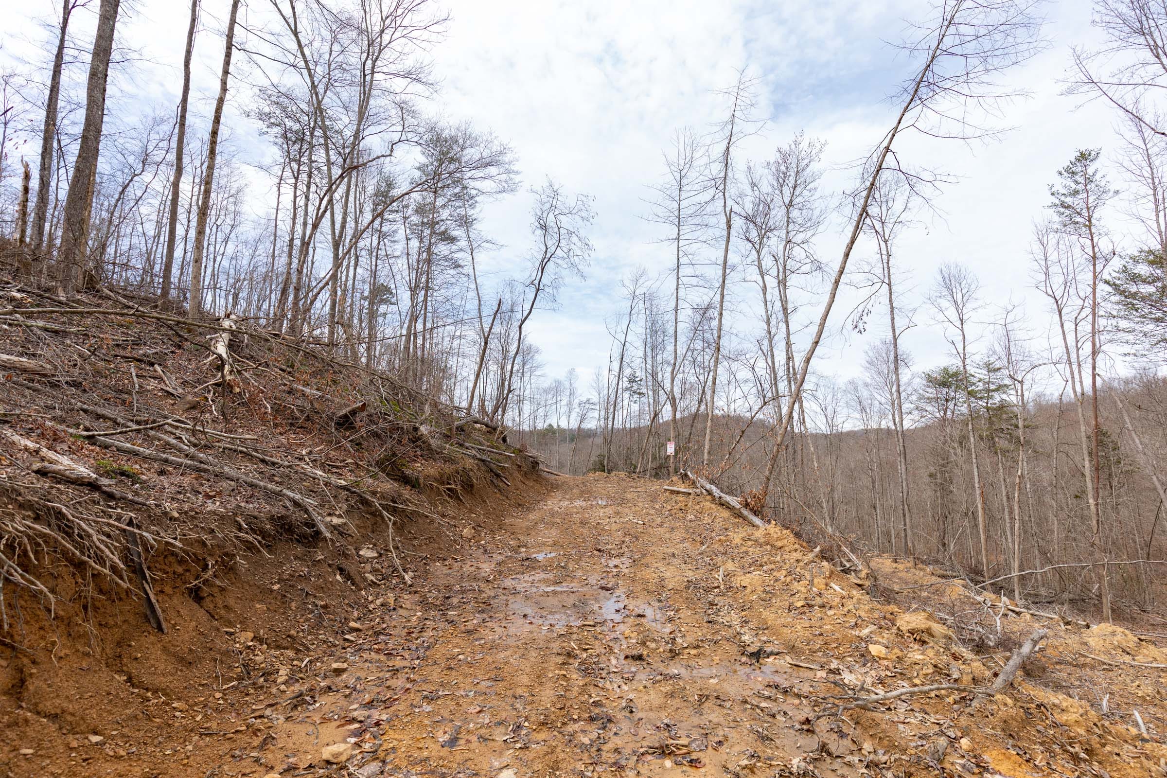 Creek Hollow Phase I Tract 6 photo 1