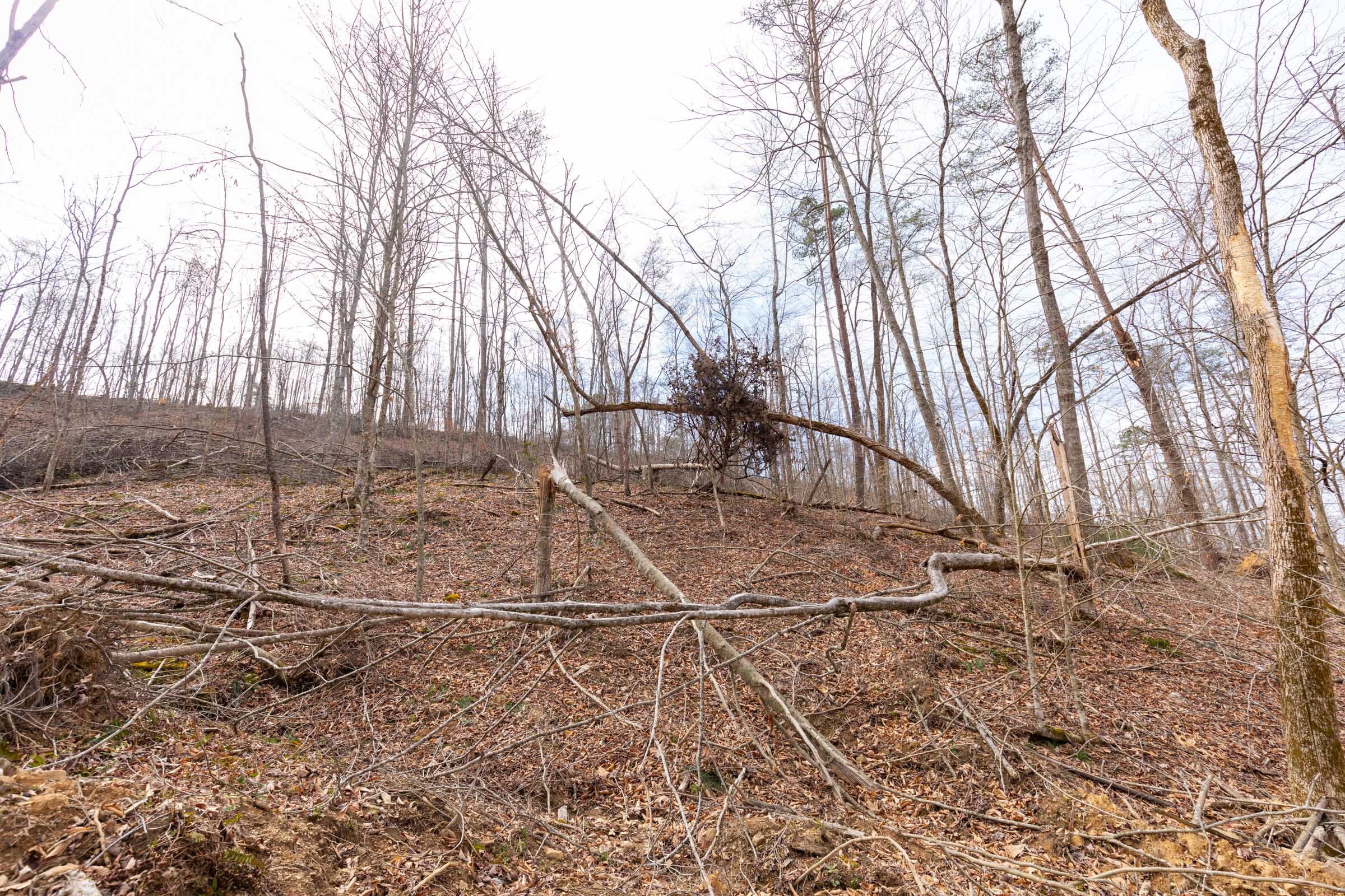 Creek Hollow Phase I Tract 6 photo 2