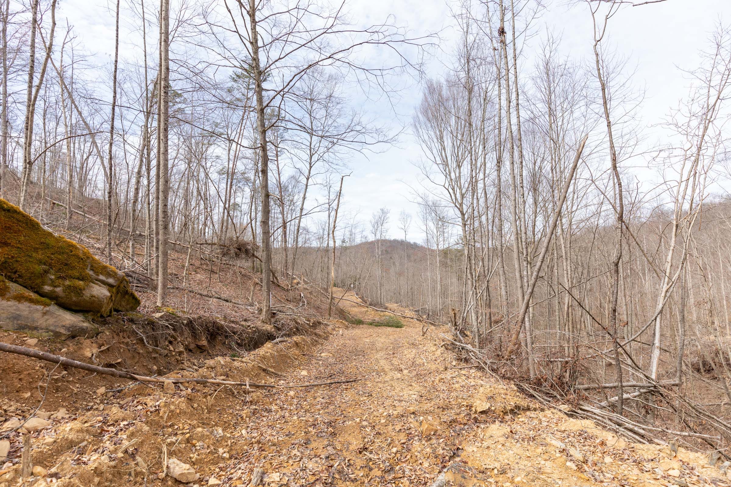 Creek Hollow Phase I Tract 6 photo 3