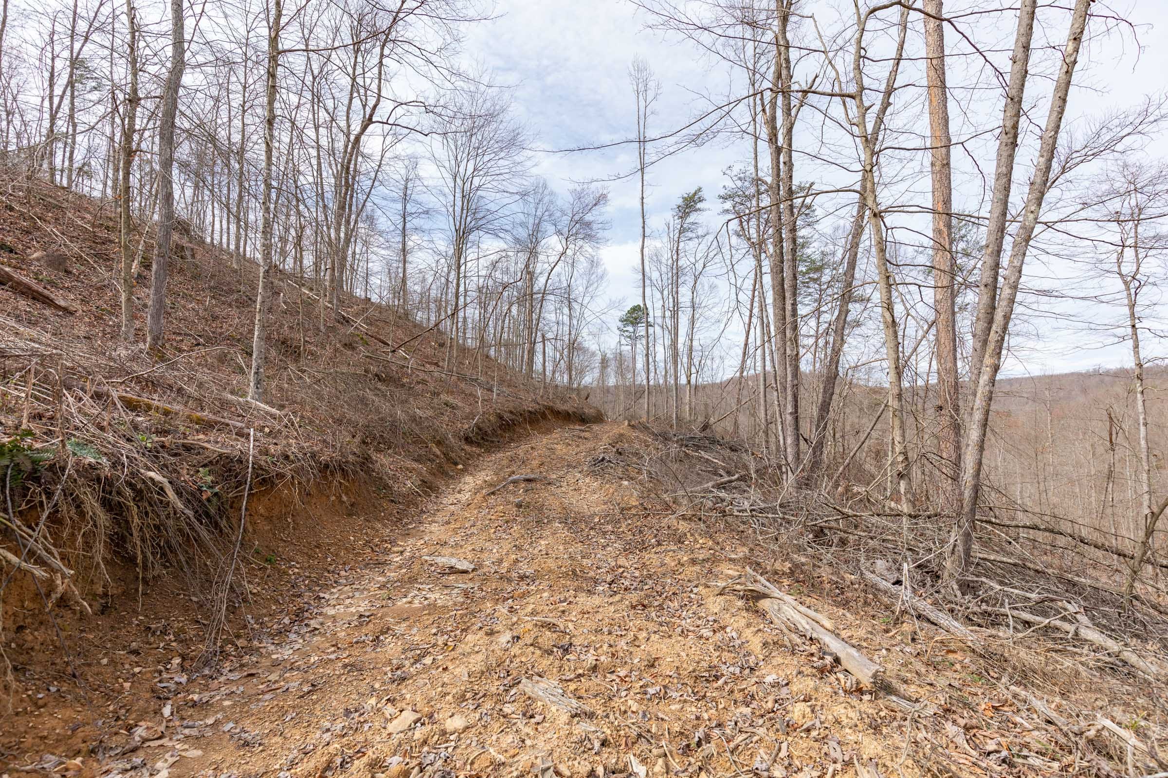 Creek Hollow Phase I Tract 6 photo 7