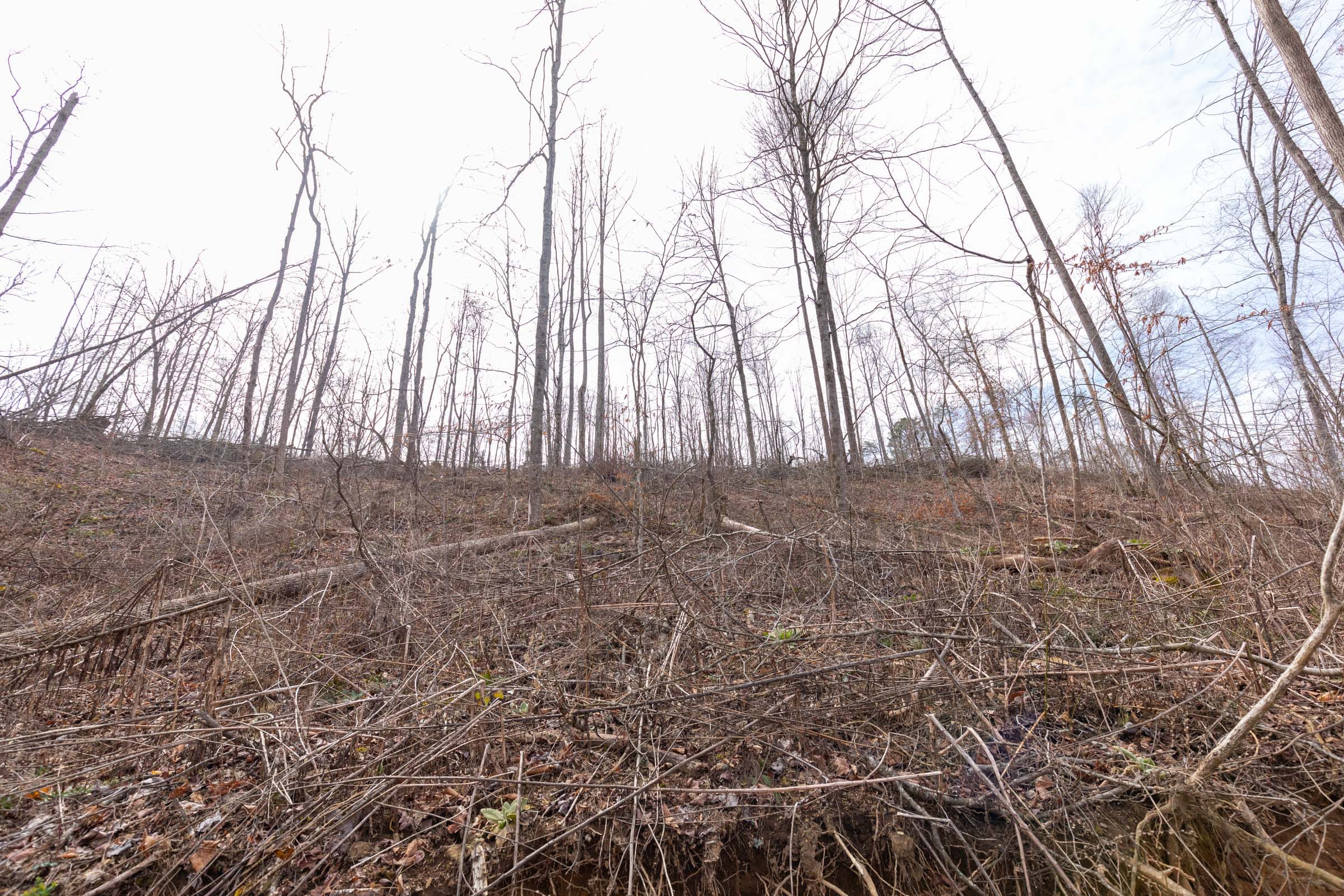 Creek Hollow Phase I Tract 6 photo 4