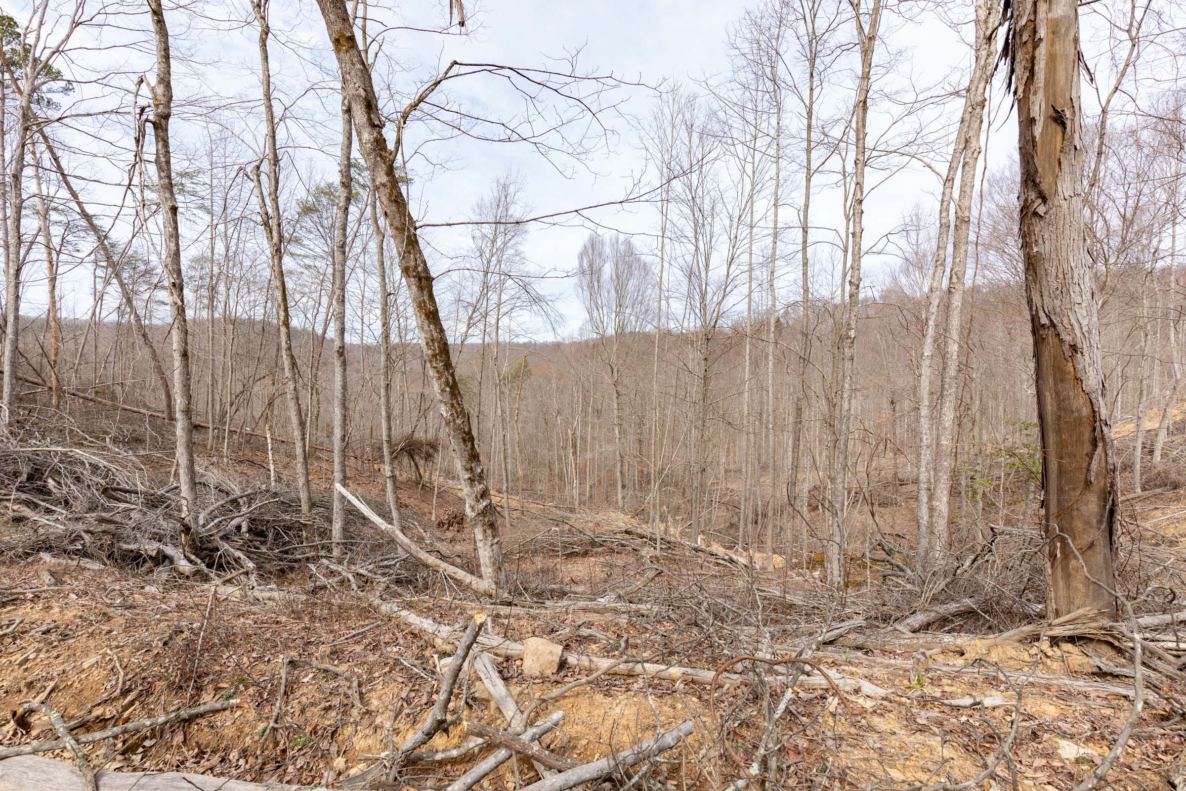 Creek Hollow Phase I Tract 6 photo 6
