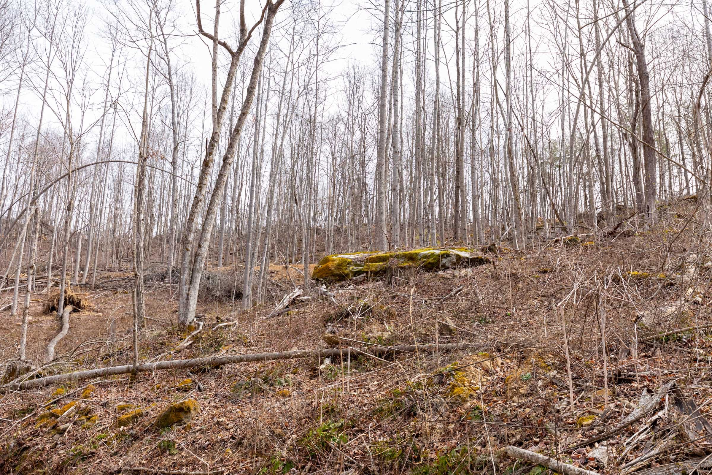 Creek Hollow Phase I Tract 6 photo 8
