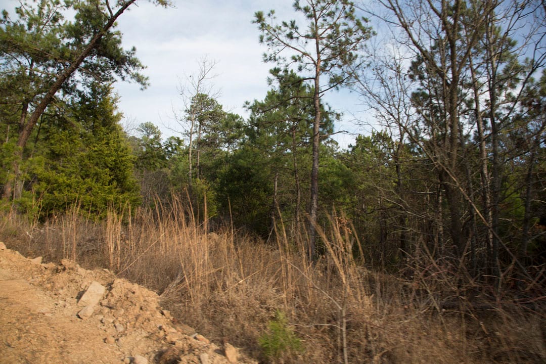 Stone Creek Phase III Tract 84 photo 2