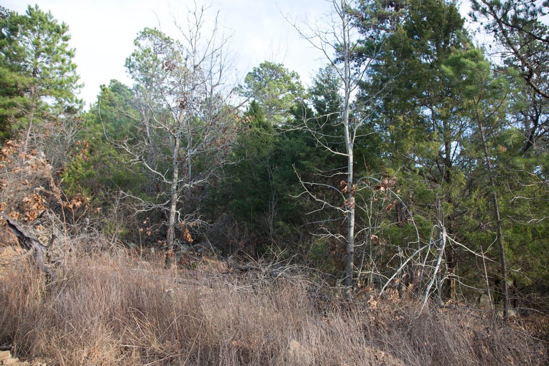 Stone Creek Phase III Tract 84 photo 3