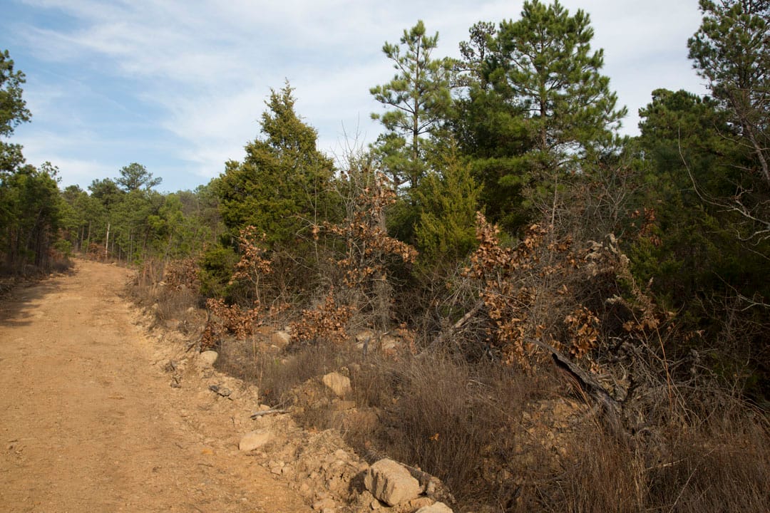 Stone Creek Phase III Tract 84 photo 4