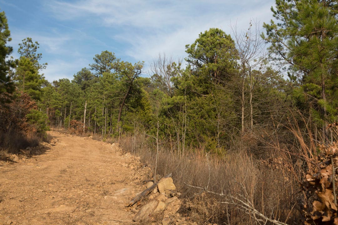 Stone Creek Phase III Tract 84 photo 6