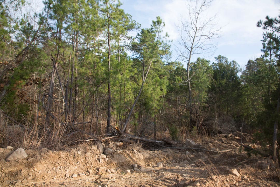 Stone Creek Phase III Tract 84 photo 7
