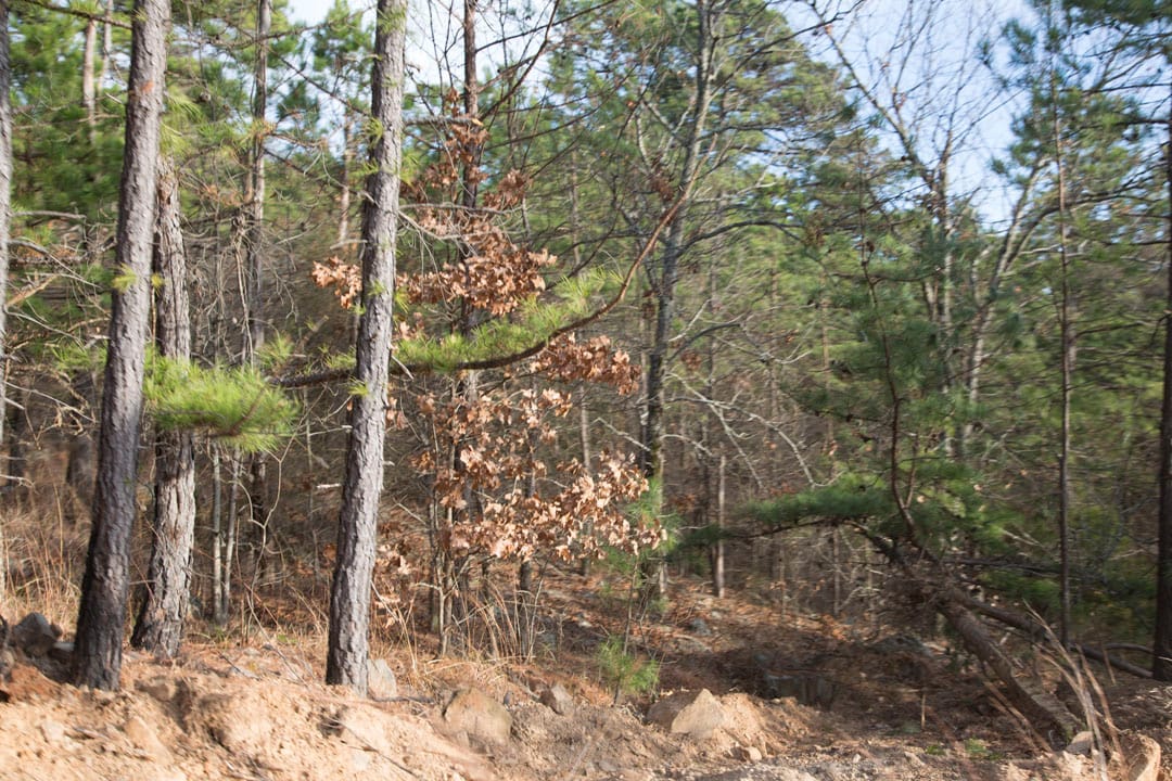Stone Creek Phase III Tract 84 photo 9