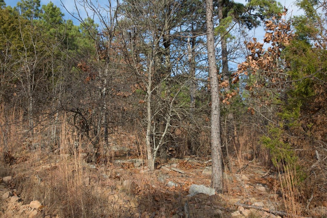Stone Creek Phase III Tract 84 photo 12