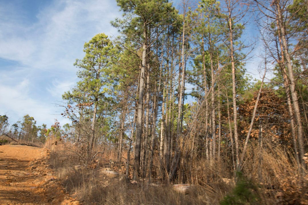 Stone Creek Phase III Tract 84 photo 13