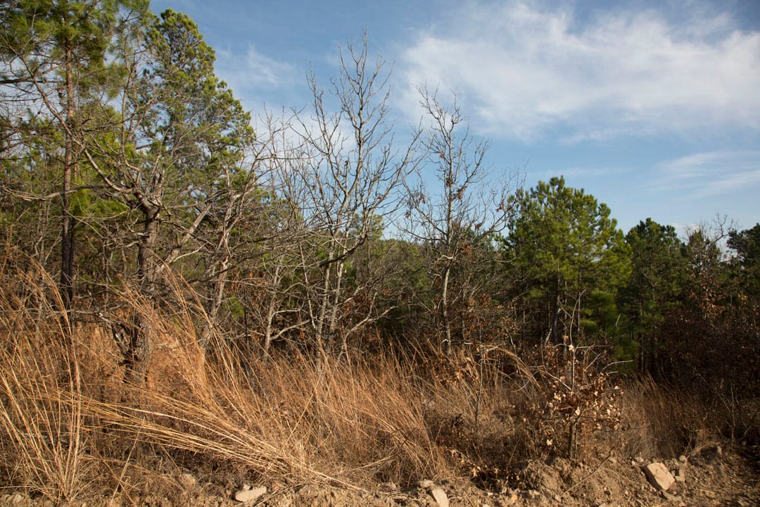 Stone Creek Phase III Tract 84 photo 14