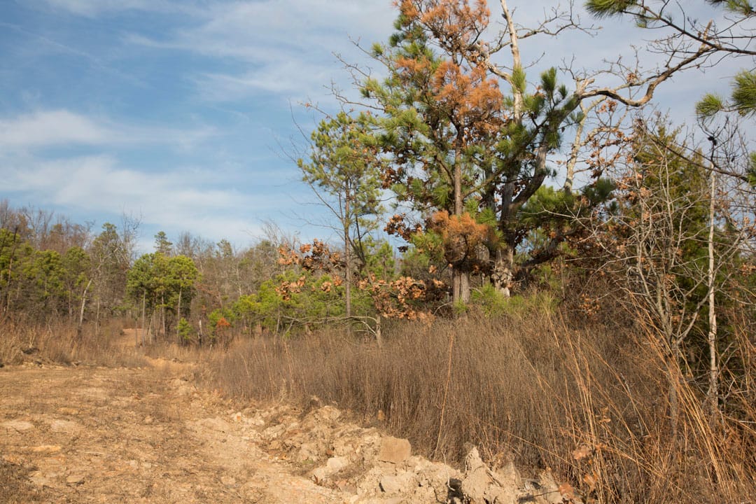 Stone Creek Phase III Tract 84 photo 15