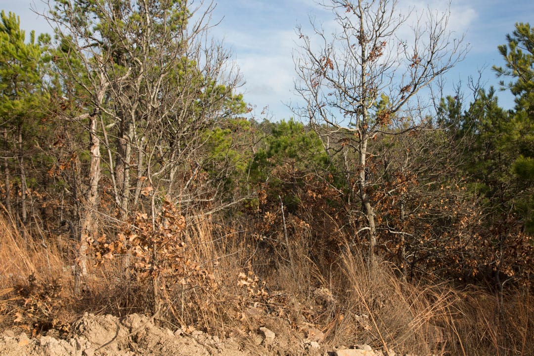 Stone Creek Phase III Tract 84 photo 16
